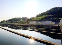 福建自来水厂输水管道